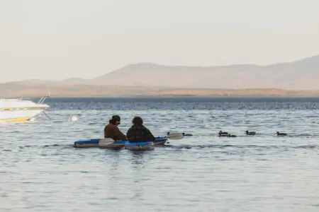 65934 174497 yYuIeDYQAEYpe6wv52djG0HYP YjsFvk0F6d1 wV6c 68edd6ff61e6a.jpg