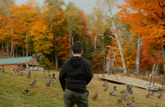 65934 174499 8laB09jBSnM1coWmk E1aww1UHwhTcdC9T5bLbwWQ U 68ee8b2d890ba.jpg