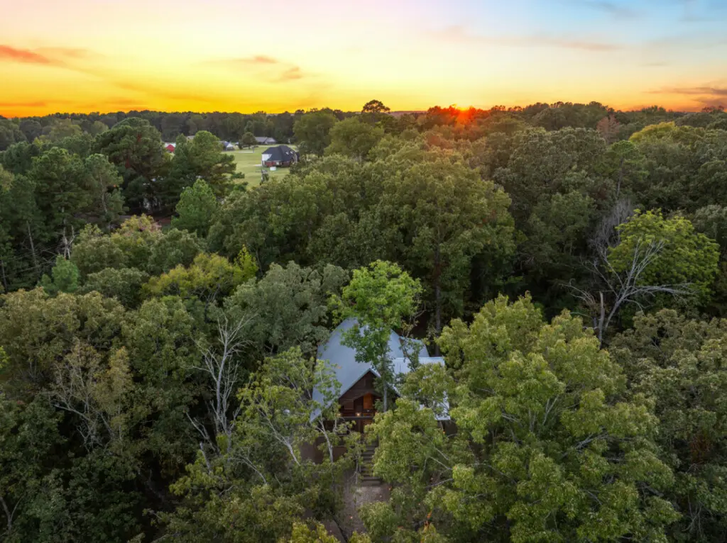 65934 174500 M9Q4BNTkJFh6cxcVY8a50fEt1nP 7BQx1KMC2 dZKE 670aa8f7c2661.jpg