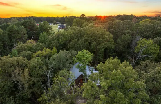 65934 174500 M9Q4BNTkJFh6cxcVY8a50fEt1nP 7BQx1KMC2 dZKE 670aa8f7c2661.jpg