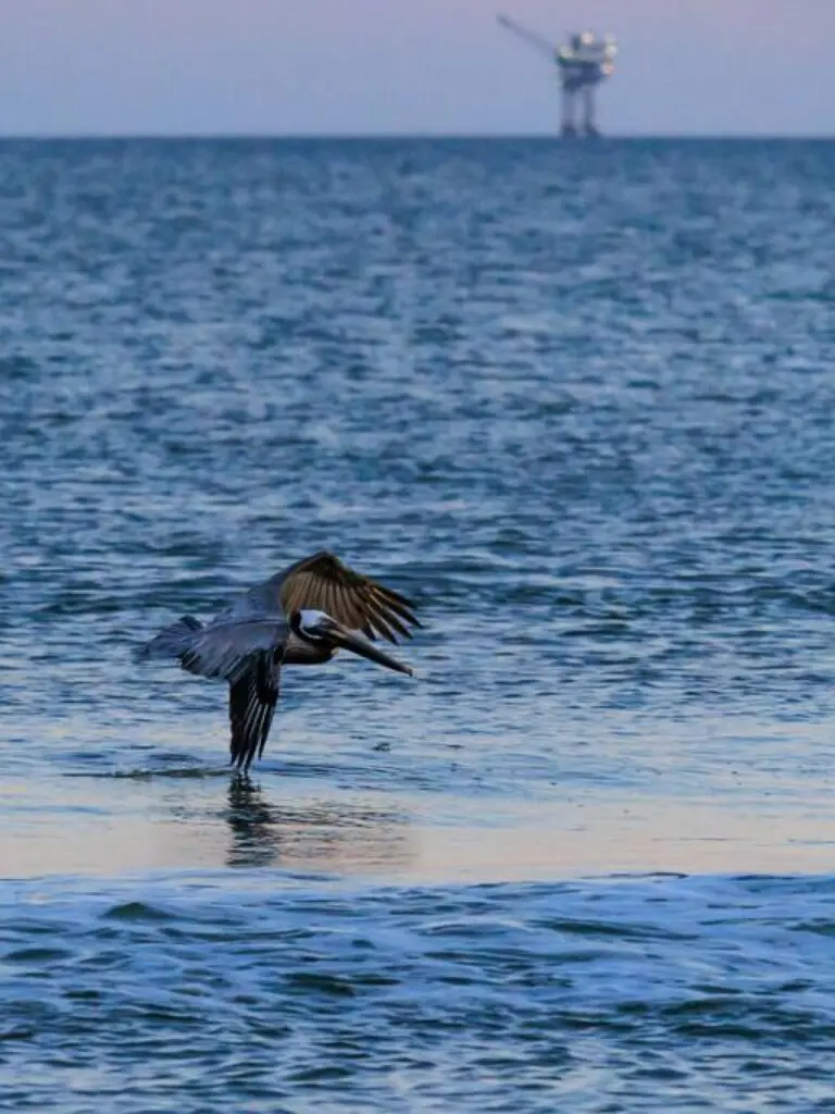 65934 174505 Nt2TLRuRUzkr2KipQUiEvS BQ4UJ2vg8CKDkaDwaxz0 648ba38b4cc6d.jpg