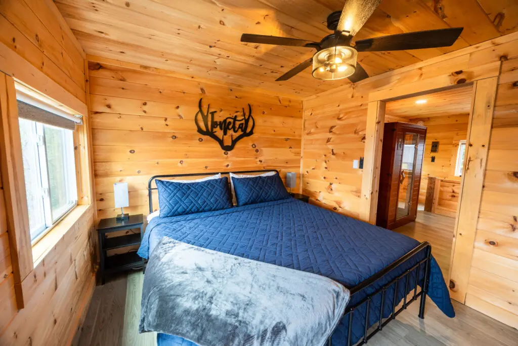 65934 174507 41yTUjjc4z vmKoUZPnMZKN98TptKBeimrj74ovTP M 68ee8cb993cf4.jpg