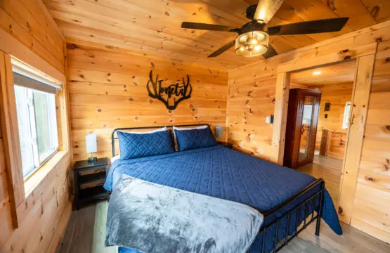 65934 174507 41yTUjjc4z vmKoUZPnMZKN98TptKBeimrj74ovTP M 68ee8cb993cf4.jpg