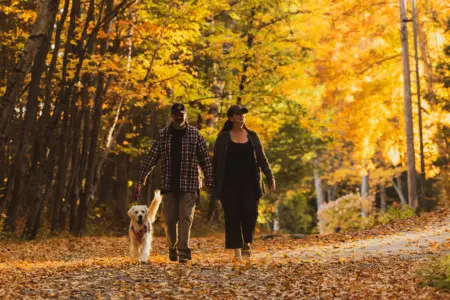 65934 174507 4YmYbJqMTLpbW0jdaHyBu4sQlqS0LSbTFuohFfh1bsg 68ee96368bb3e.jpg