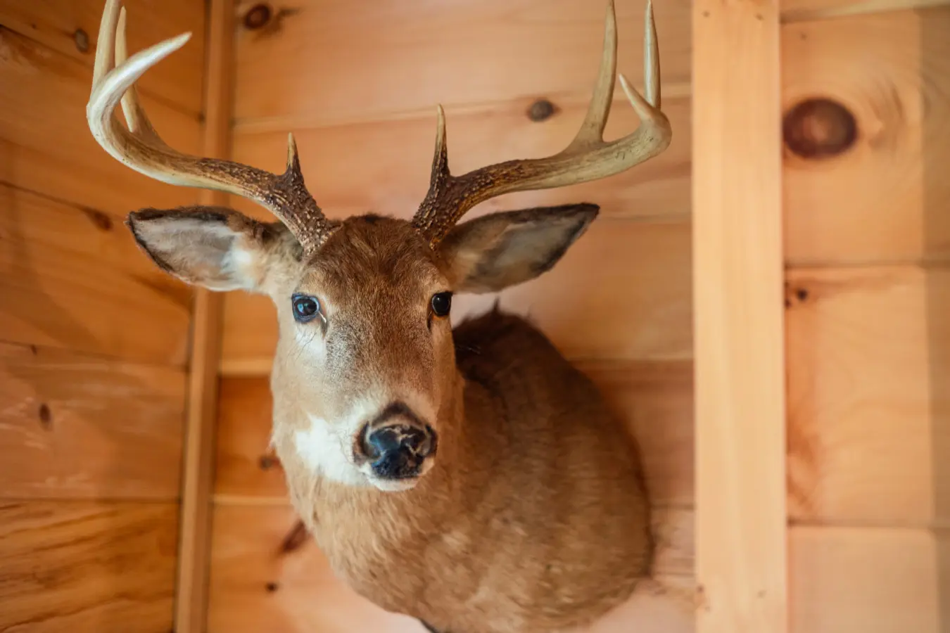 65934 174507 iJRvYnwW16o4DI34Utxm8mrlwdLIR5CffphiTj8itr0 68ee8cfef22ed.jpg