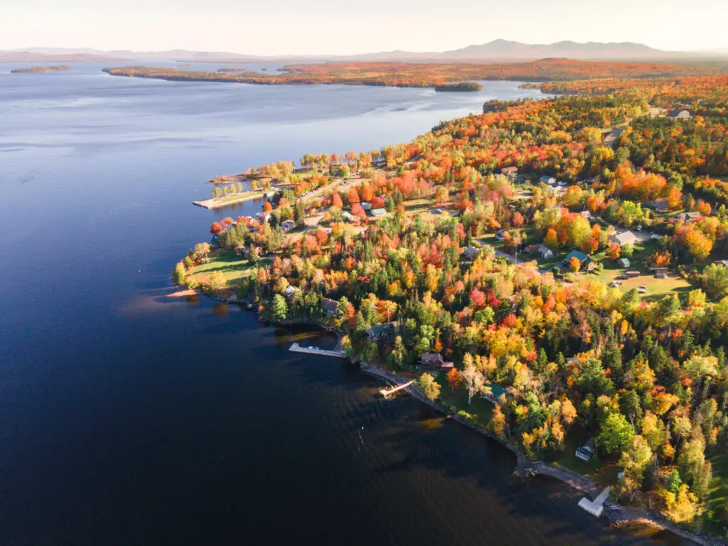 65934 174507 z mSnVjOCDwiuZOd1Kwn8sxpqdWSUMrUJl9NZKnpKW4 68ee97782ca1e.jpg