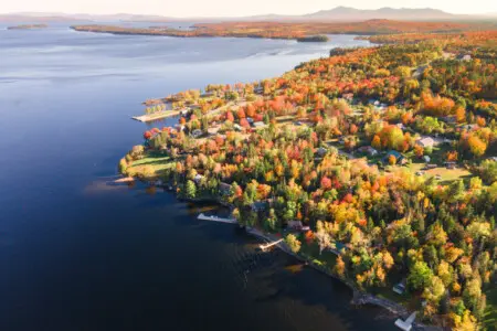 65934 174507 z mSnVjOCDwiuZOd1Kwn8sxpqdWSUMrUJl9NZKnpKW4 68ee97782ca1e.jpg