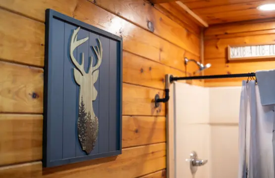 65934 176984 3bzFCWYDmCuS29eqEJQ0QkUacNlJcmbzN f0dX3yYI 68ee7ce53381f.jpg