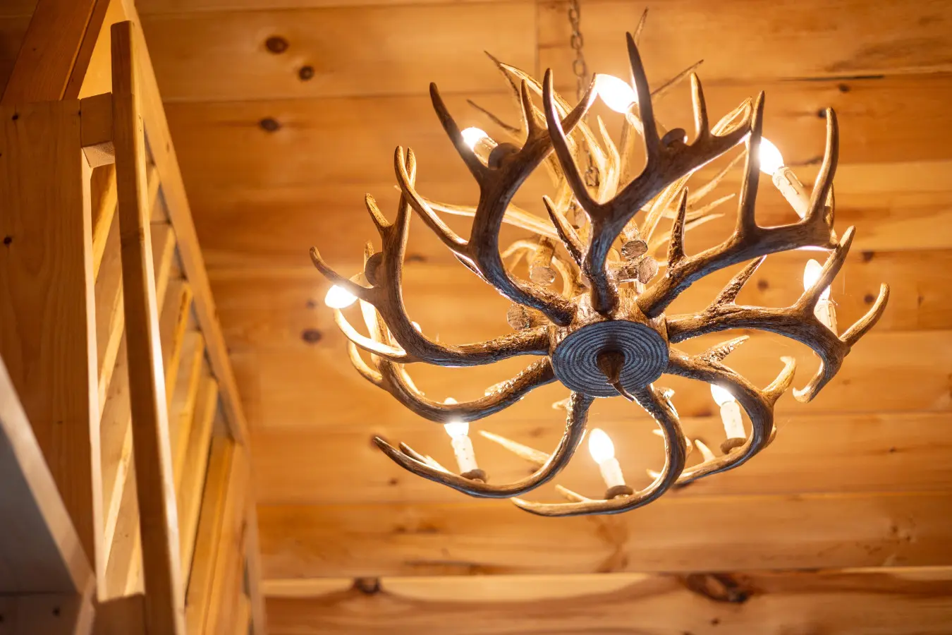 65934 176984 gxQduEO 4gB3v5UYrGKvC K 4VOVuvSPPDKn9wtLVKI 68ee7d502f12d.jpg