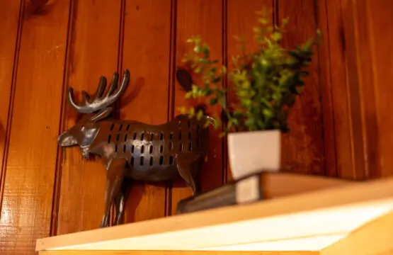 65934 176984 ug1Yz4hhT Yf ag7KpWWZhaDZjmBkQu ru4aVvg0ax8 68ee7dac0846d.jpg