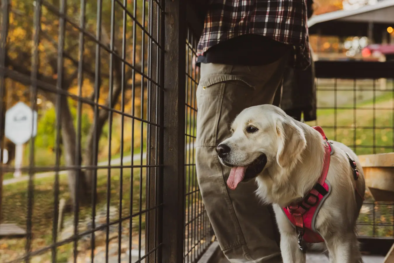 65934 180220 3fpcnXSU ygg471hic5ImICTBkWMbLYbgyvwytzXJxg 68eec0b31d55f.jpg