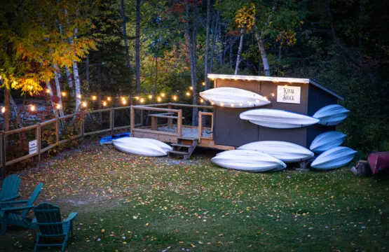 65934 180220 IKcwpTIB6oCuI51apVtJ Nfv4ErG7xenUjAJEeFGWSk 68eebeef73f33.jpg