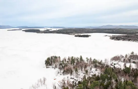 65934 180220 e hWXypX17yW9oq7Qj1k DOQPOalGkv 5Vrd i2DFsk 64a64bd6bbd6b.jpg