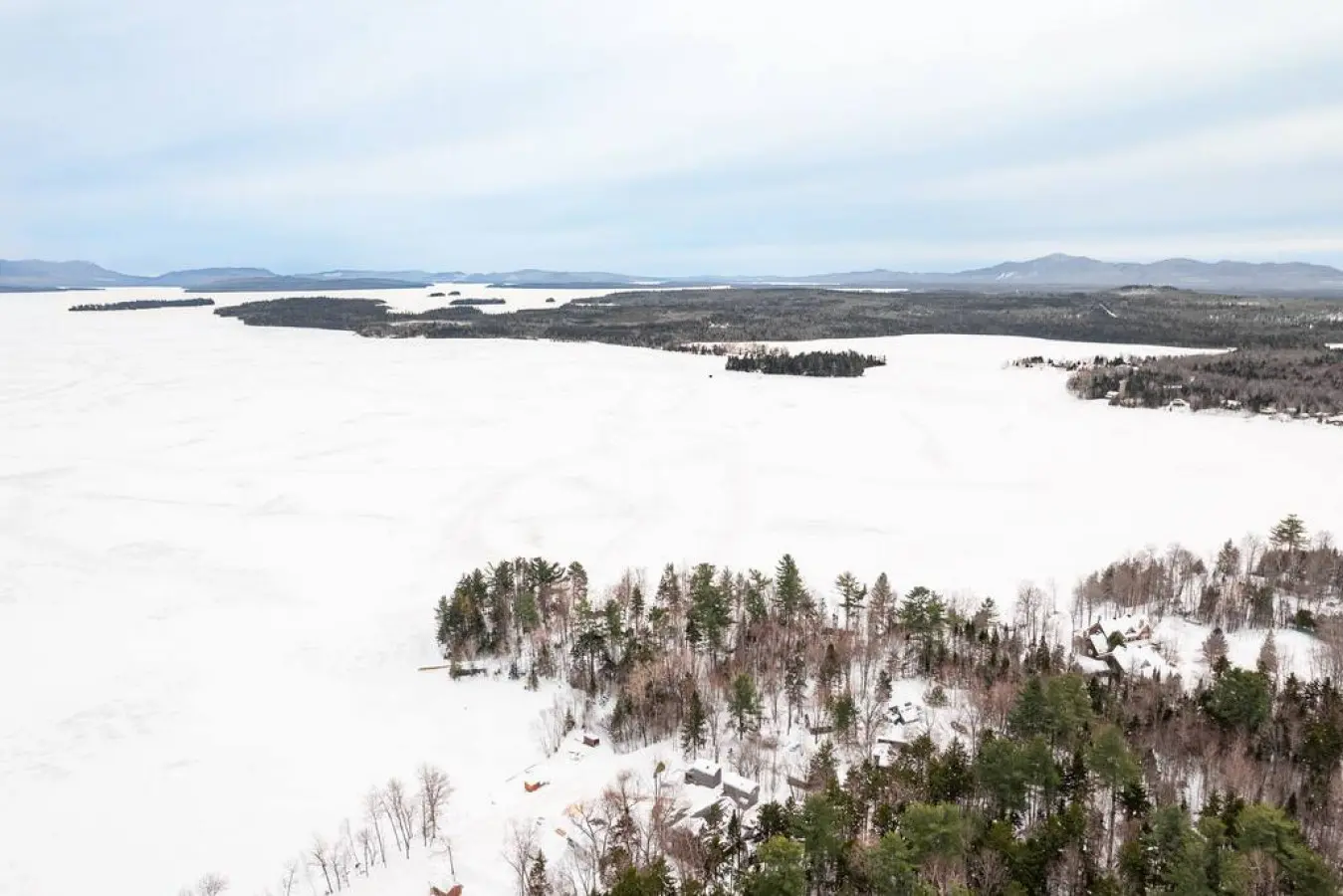 65934 180220 e hWXypX17yW9oq7Qj1k DOQPOalGkv 5Vrd i2DFsk 64a64bd6bbd6b.jpg