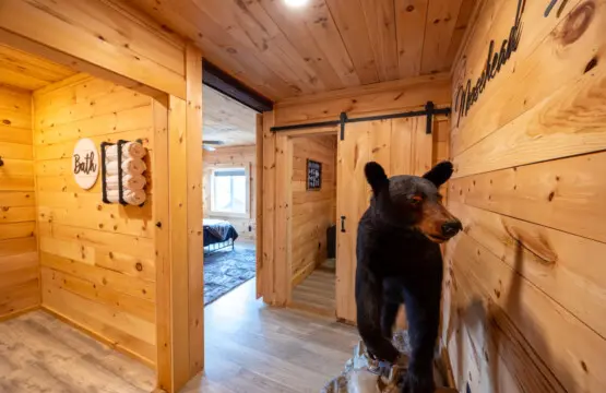 65934 180220 iO6EJ8uqWVB0aJjgwRFHNPOfpwYE6jYGucKEB2YsMms 68eec7e6de976.jpg