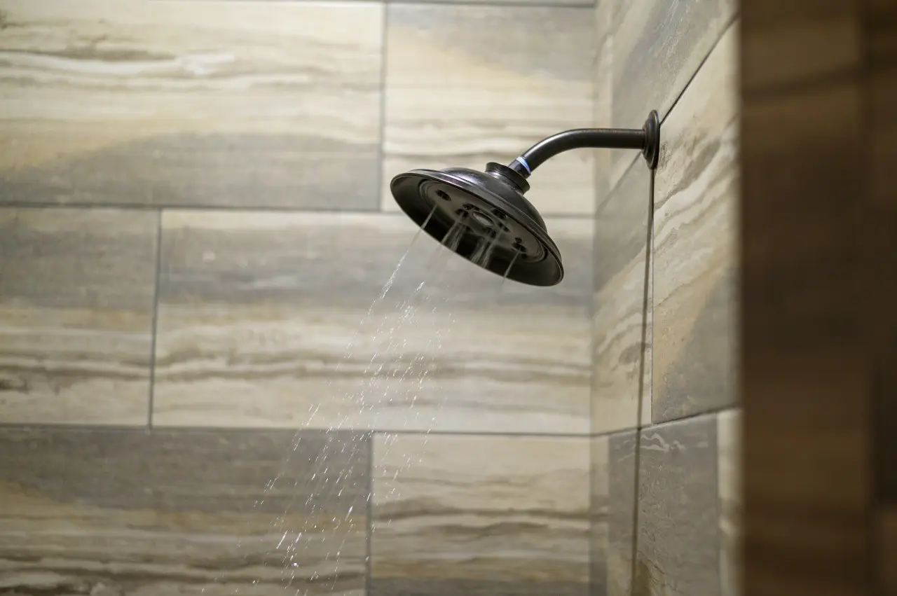 65934 186160 AgZoBwCqJUmFCodYzHIbk6XucwissD B8nDdpSIZ7mw 64e7f8e2e4c02.jpg