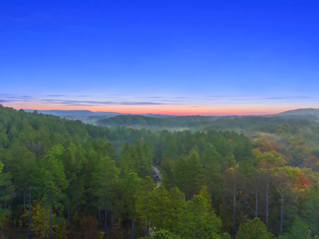 65934 209314 8AhL4ViTH1dxl4iaW7BXxR6zP5VIElqfFU5hP53s8as 654cf93d57d8b.jpg