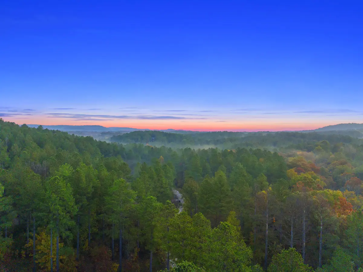 65934 209314 8AhL4ViTH1dxl4iaW7BXxR6zP5VIElqfFU5hP53s8as 654cf93d57d8b.jpg