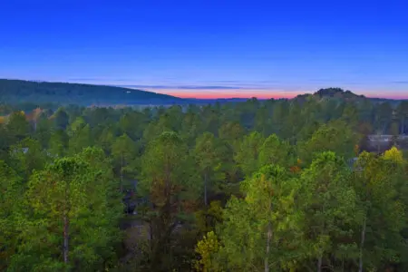 65934 209314 zzVenx9MSCc 5NBiT48H4FWsV1EeVh0H8PQAacySA3M 654cf95b41521.jpg