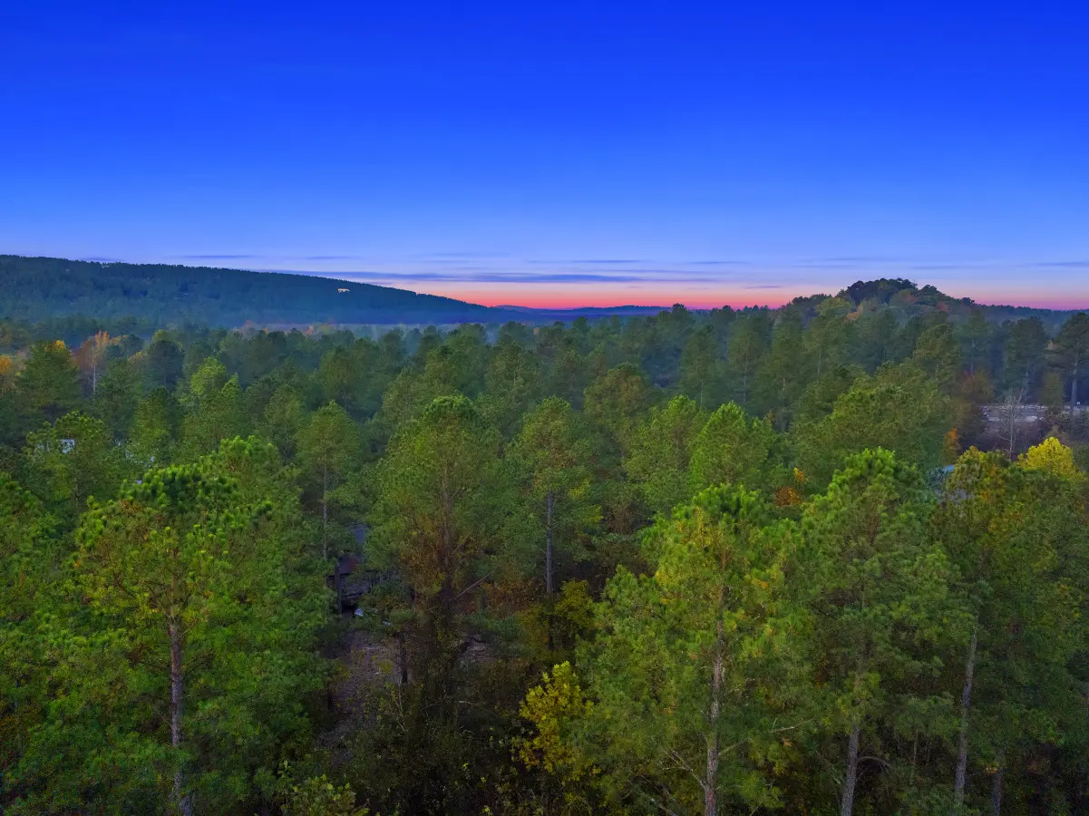 65934 209314 zzVenx9MSCc 5NBiT48H4FWsV1EeVh0H8PQAacySA3M 654cf95b41521.jpg