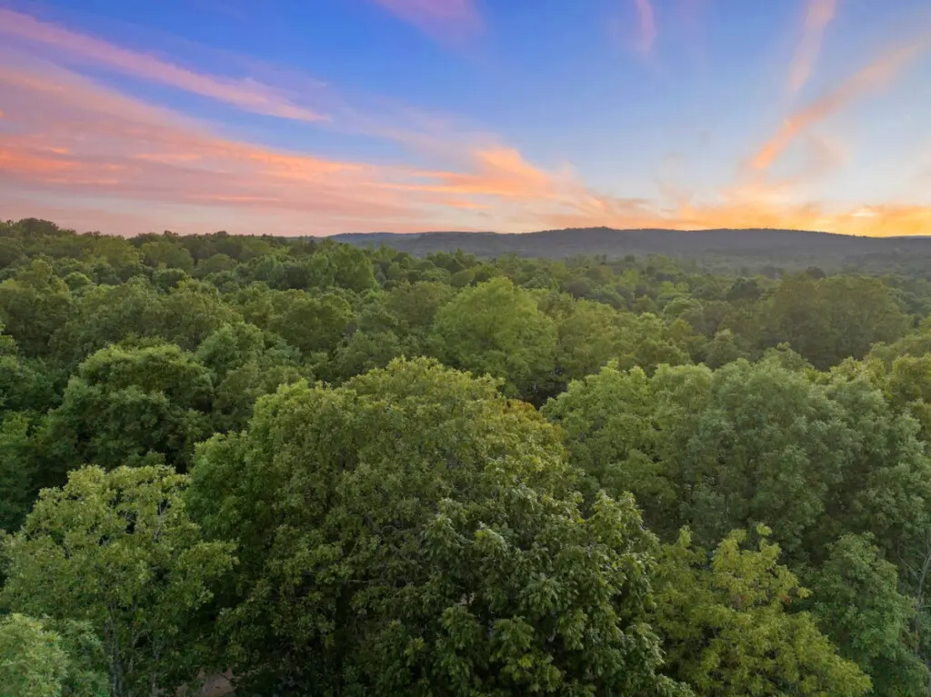 65934 272780 ykV4YMu ee0EKUPIBN5 QZKQBtvlKlx4ugIXX1 akIA 66467cb7c491e.jpg