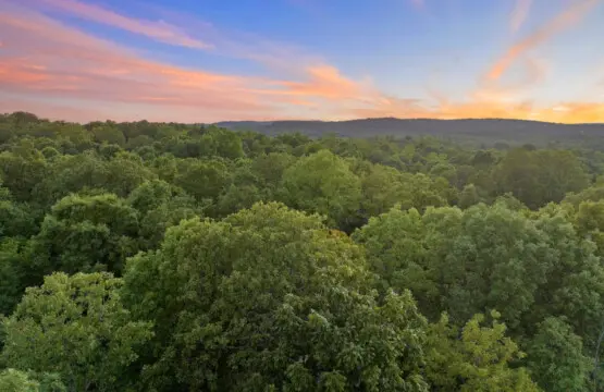 65934 272780 ykV4YMu ee0EKUPIBN5 QZKQBtvlKlx4ugIXX1 akIA 66467cb7c491e.jpg