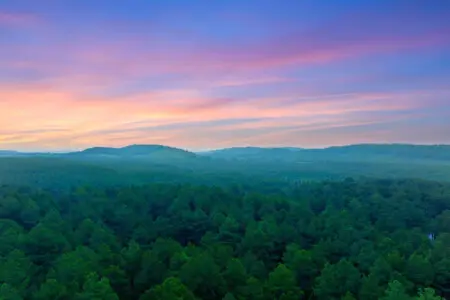 65934 274162 M2aTUo37jxnZ79HEwaeBqnnVKbPEcqozRHdrBQvpfOk 664d1c736de6d.jpg