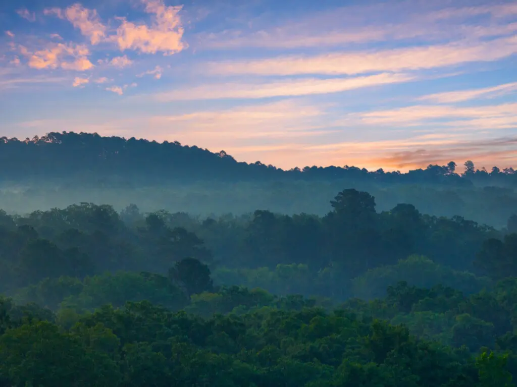 65934 274682 1to1fW5oOzkt4Udvt3N7ifQv wFG6 D0OqkUAHamZ 8 6670b724333b1.jpg