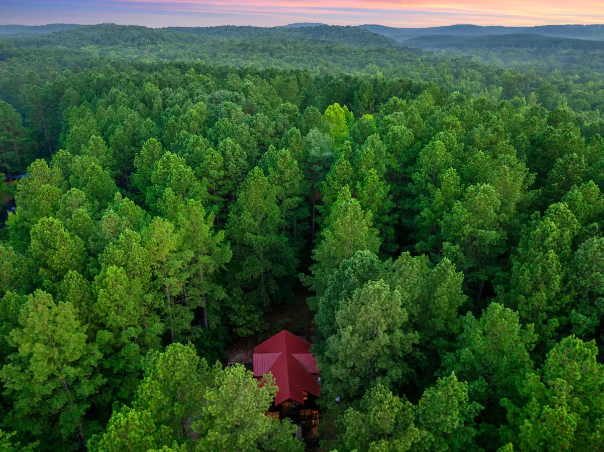 65934 278612 5RwRG7RUKuVUqxdGY Q2 GfPyZpKWs4wD0F7lr5Yqh0 669eb523d6f93.jpg