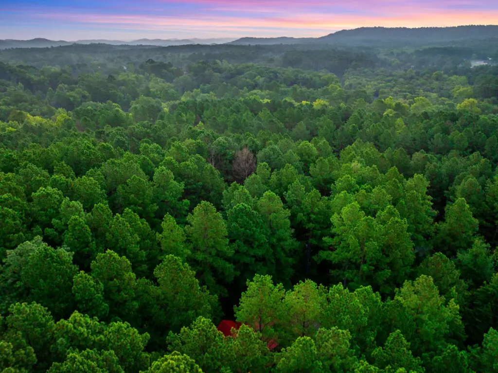 65934 278612 DqdTZynx2 DtOsn t 3o5BPibIeb3oAHE4TnpelnVXU 669eb5327f8fc.jpg