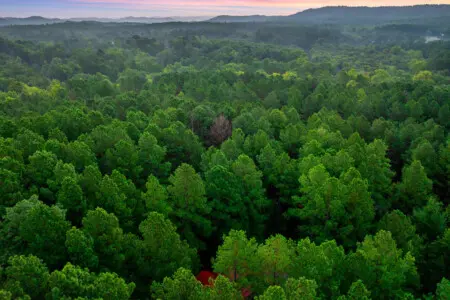 65934 278612 DqdTZynx2 DtOsn t 3o5BPibIeb3oAHE4TnpelnVXU 669eb5327f8fc.jpg