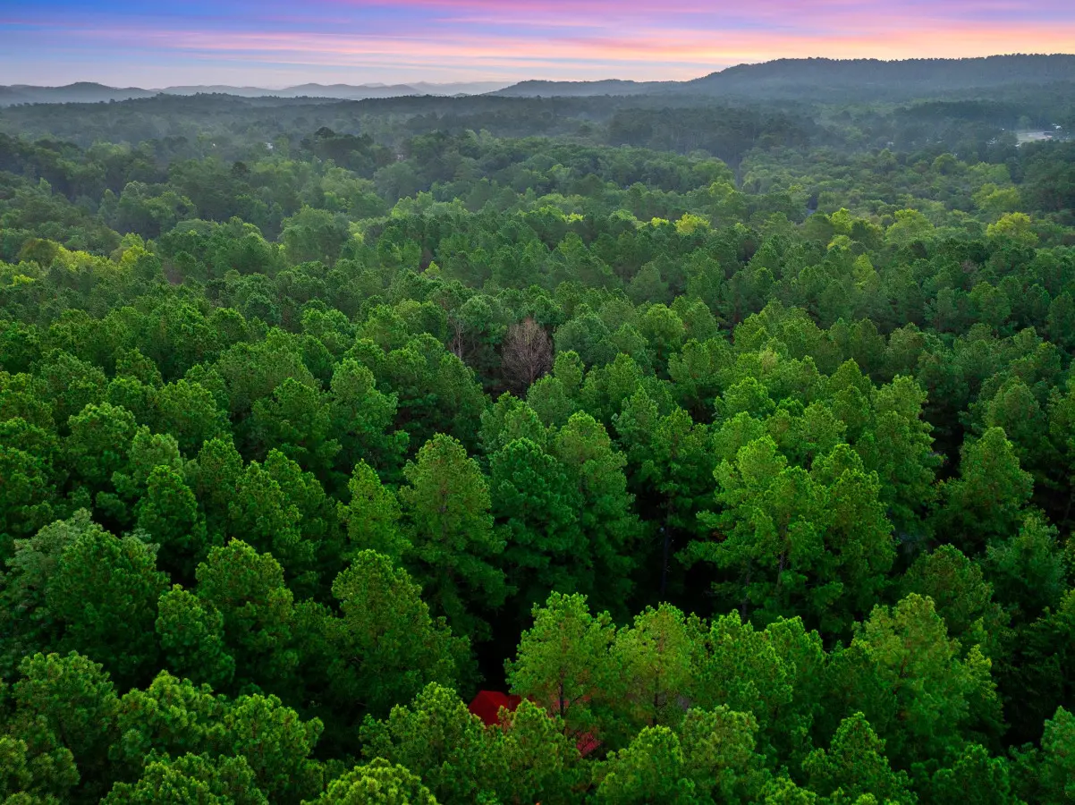 65934 278612 DqdTZynx2 DtOsn t 3o5BPibIeb3oAHE4TnpelnVXU 669eb5327f8fc.jpg