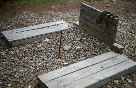 65934 298395 qfRc3yBLW0Ceb0n921FH8oWeX oRQpEU7rcpwrqeELk 66be50ab509d1.jpg