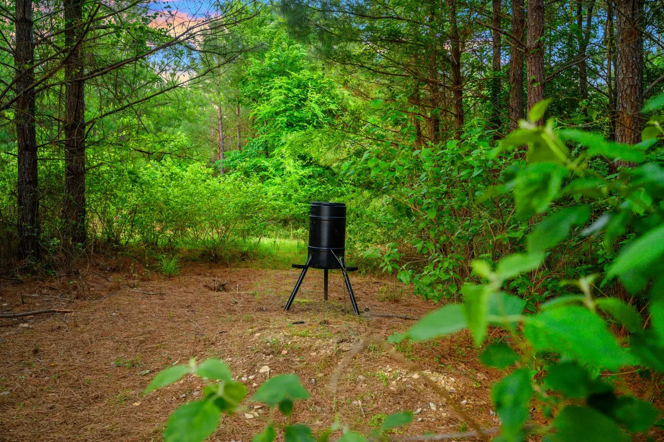 65934 310598 843aOKzU0 5FYlUFcnZUwqdi0ivNqqvV8gqtd43nc0g 6828ad0be75b7.jpg