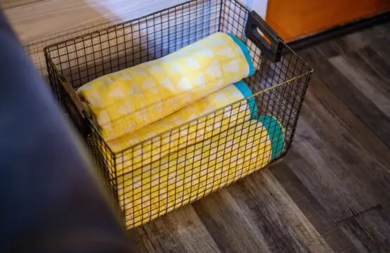 65934 333948 BHRhk1ZmD8XxHR0L7y4qIJWR8wc8ZphXmqmVn H VXM 6762dc7bebe05.jpg