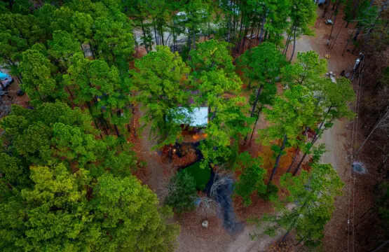 65934 333948 K7EudKLr4g1xkYRDGQNY21MnNFdGIv9YSB jFmuUmJ8 6762db947349c.jpg