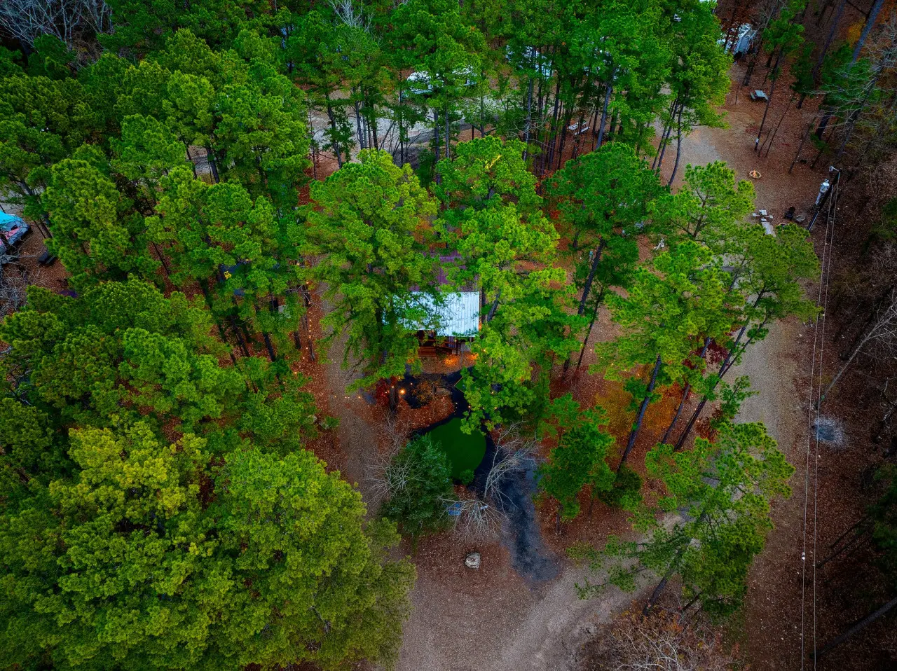 65934 333948 K7EudKLr4g1xkYRDGQNY21MnNFdGIv9YSB jFmuUmJ8 6762db947349c.jpg