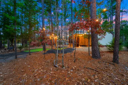 65934 333948 pV4tMUXn3LrzM9xTYROJ8JKL3HACL6yrpvnbJcuPFIE 6762de5d43e53.jpg