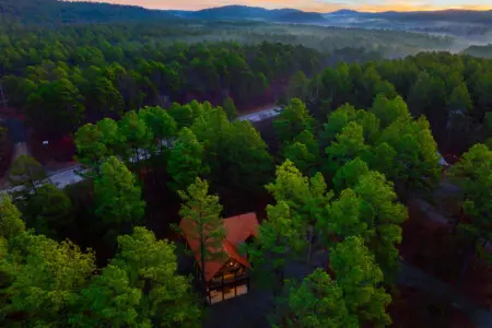 65934 344098 mwZQJDUkA69TfeCUNt4qbxYjsFXpcyOSo2P4o0n31mw 6786b8ceeec1d.jpg