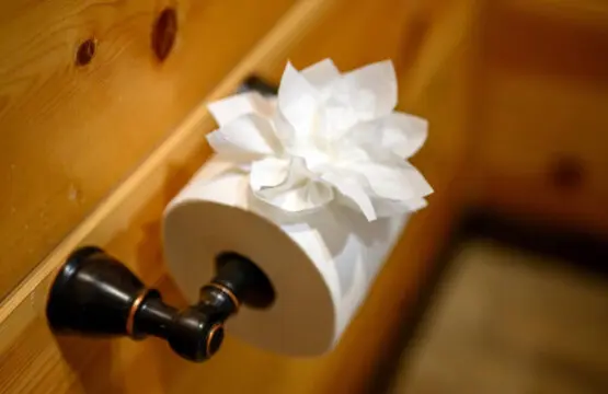 65934 347144 pDyxwgg hLQfs8wFWPTXSq6hVHHkTQnnhcOXOrn33zc 677b1326ce9de.jpg