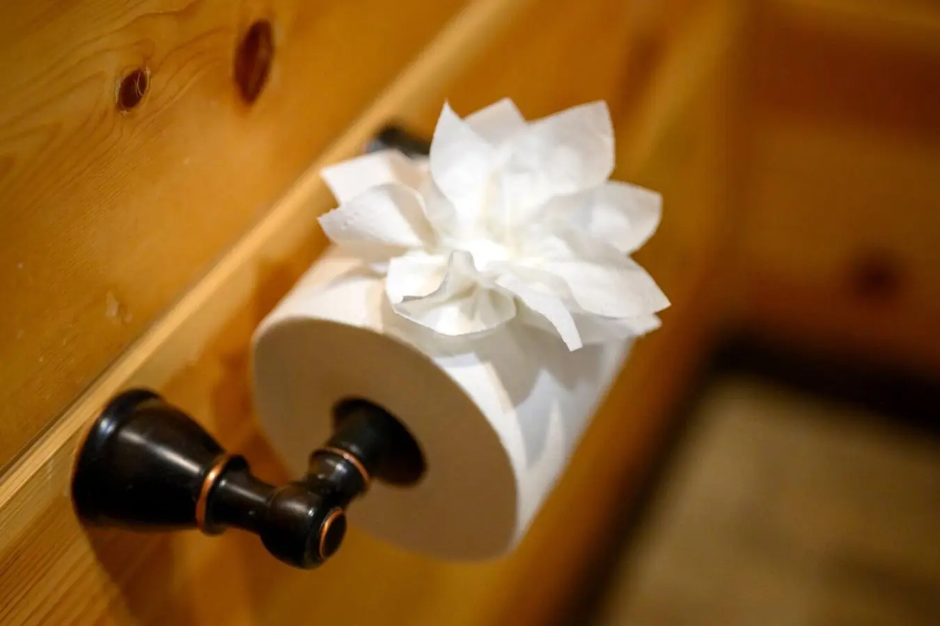 65934 347144 pDyxwgg hLQfs8wFWPTXSq6hVHHkTQnnhcOXOrn33zc 677b1326ce9de.jpg