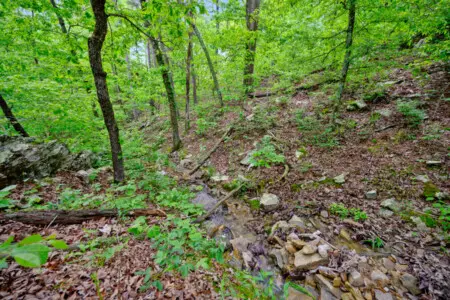 65934 350339 g Qfvpgax9FNgV7k8GPRcu mKKY4YDlwg GvkCI4JM 678857664d625.jpg