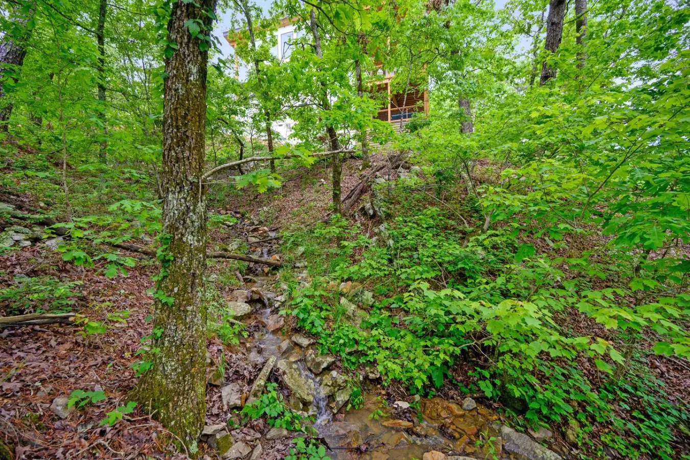 65934 350339 hm0w8YgfsIskdVTqJyb7dMM2hcmyAhXzI88fG8uL8ZM 67870c7272227.jpg