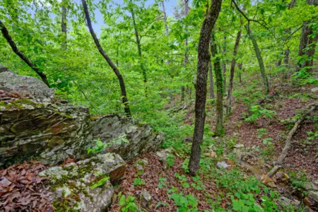 65934 350339 p9h NnZ1J2ugGOBFZr7r25ZLFJZBwE6GqsDsCl5AccM 6788577ba70e1.jpg