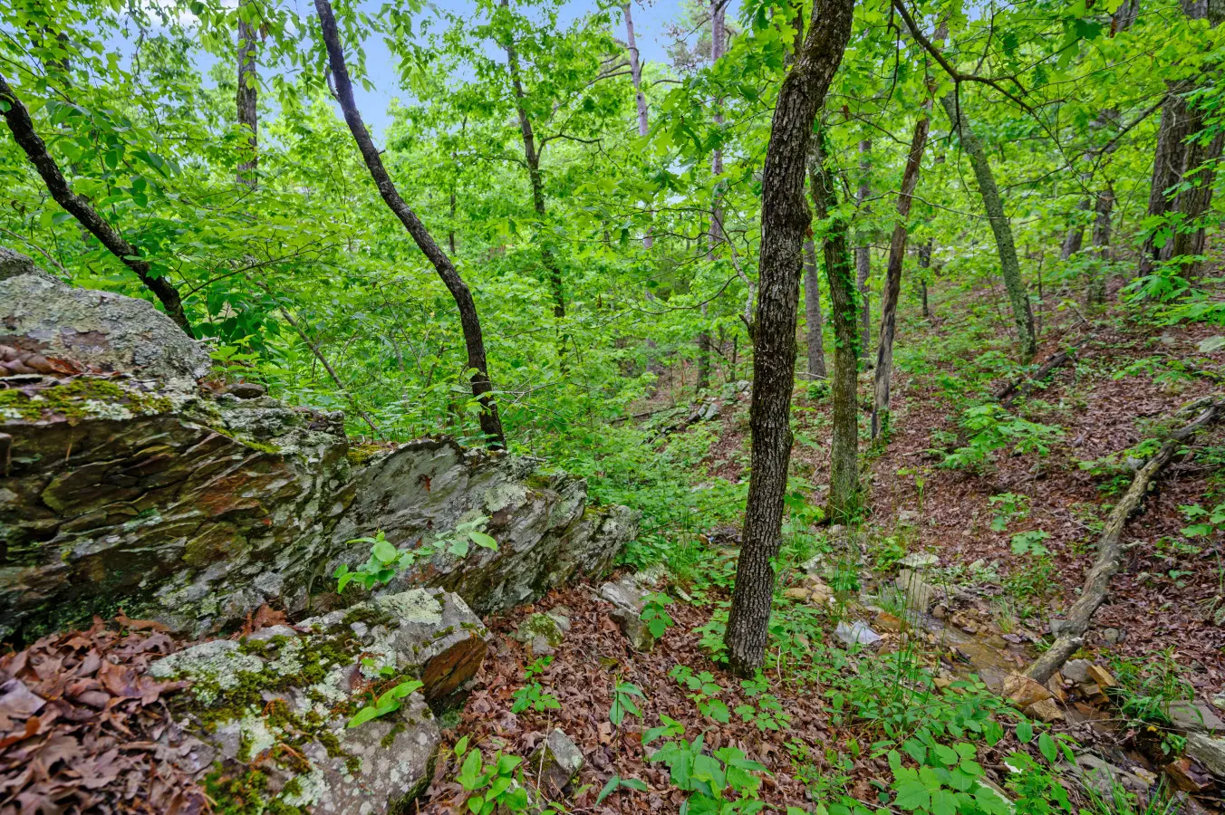 65934 350339 p9h NnZ1J2ugGOBFZr7r25ZLFJZBwE6GqsDsCl5AccM 6788577ba70e1.jpg