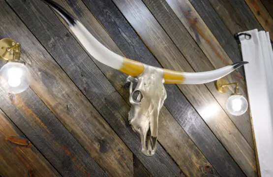 65934 355699 oRMQRKJ8jGduHApIb9zFPqCNXCJYm3dOR6uO2 l5E8 67bf73424ec3b.jpg