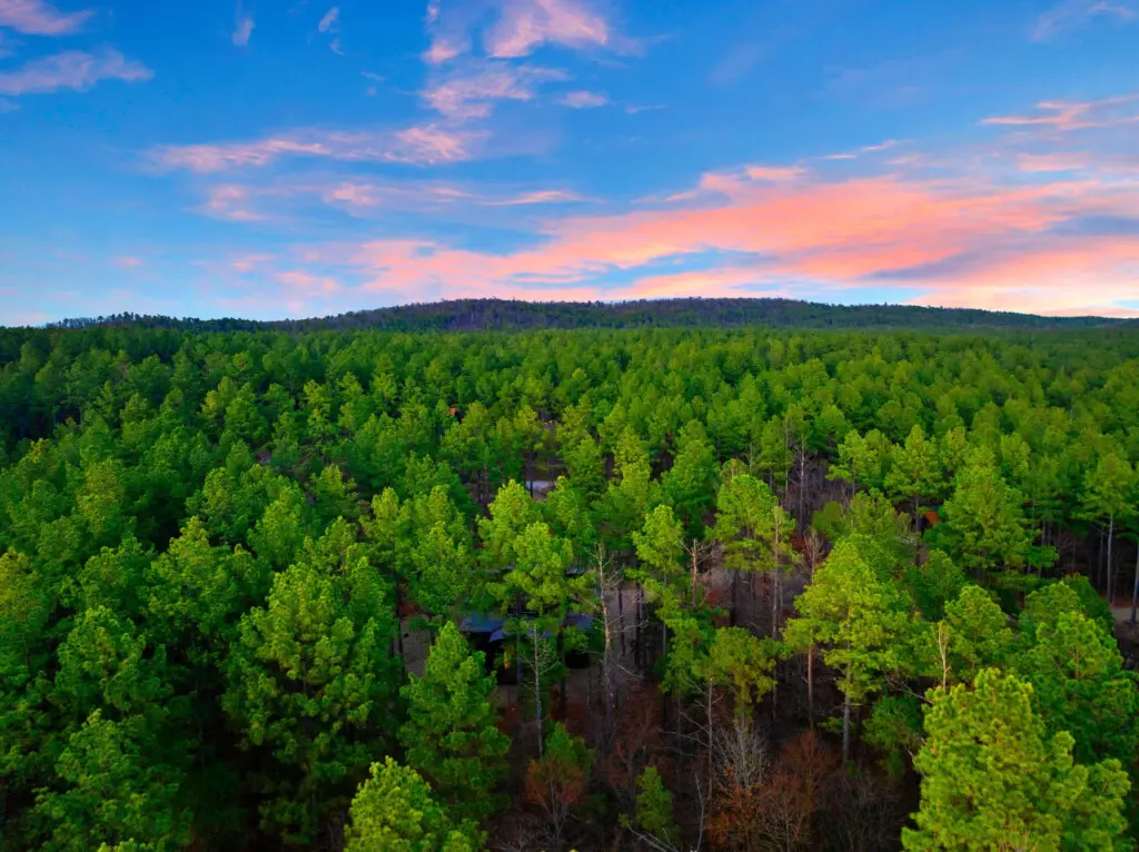 65934 355699 JkISm0iWWNdqVIBGUghb3PCiQJTL4nDn5zaplPb97IA 67bf78aca82b3.jpg