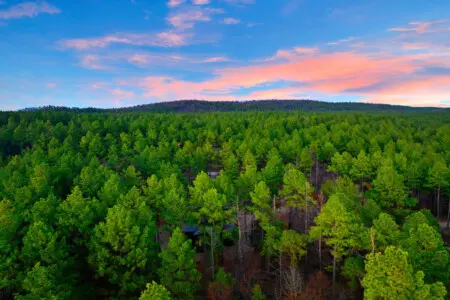 65934 355699 JkISm0iWWNdqVIBGUghb3PCiQJTL4nDn5zaplPb97IA 67bf78aca82b3.jpg