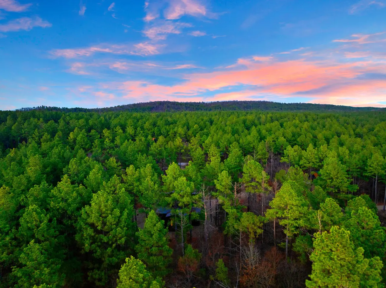 65934 355699 JkISm0iWWNdqVIBGUghb3PCiQJTL4nDn5zaplPb97IA 67bf78aca82b3.jpg