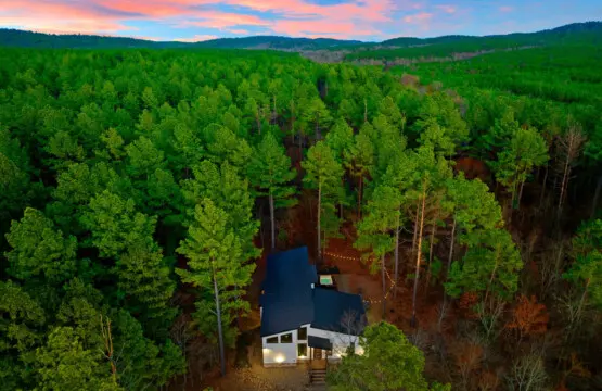 65934 355699 rOciipo8Jzu7b7w9Dn1PacxOBU2V6O5 stN7smluYLg 67bf7985c312f.jpg